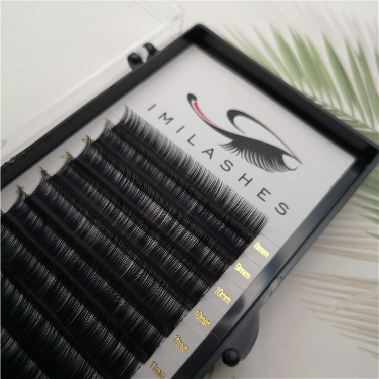 Classical korean individual eyelash extensions - A